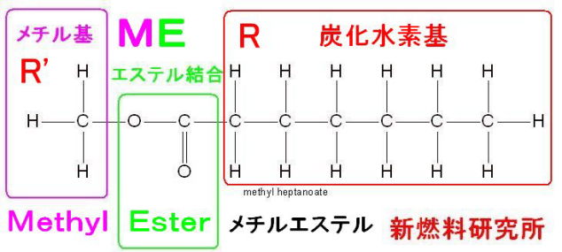 メチルエステル　ＢＤＦ　バイオディーゼル　化学構造